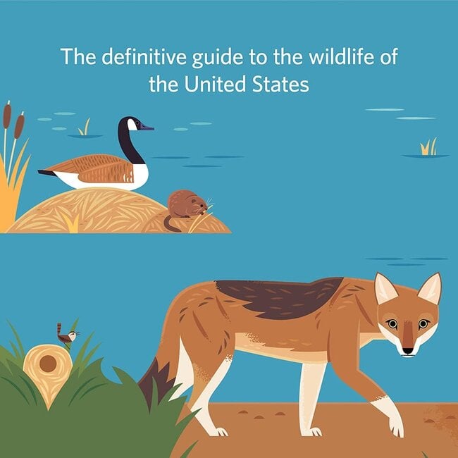 Wilds of the  United States