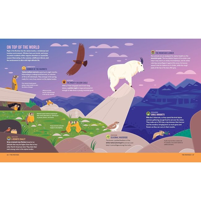 Wilds of the  United States: The Animals' Survival Field Guide