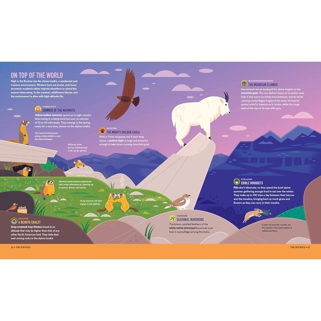 Wilds of the  United States