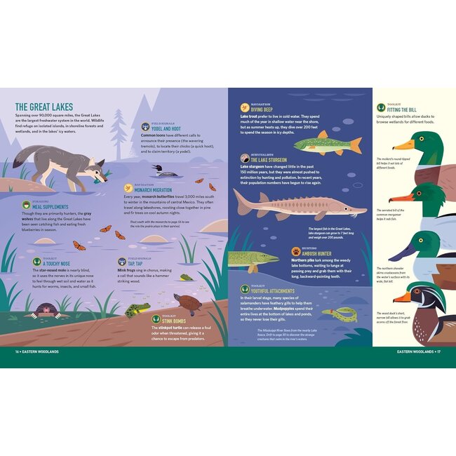 Wilds of the  United States: The Animals' Survival Field Guide