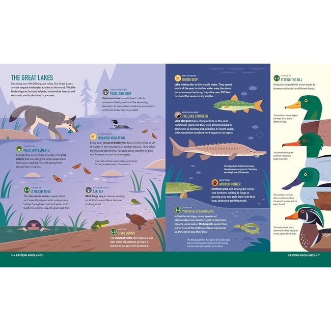 Wilds of the  United States