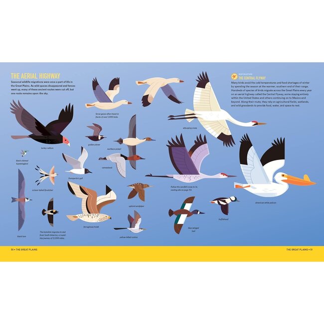 Wilds of the  United States: The Animals' Survival Field Guide