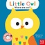 Baby Faces: Little Owl