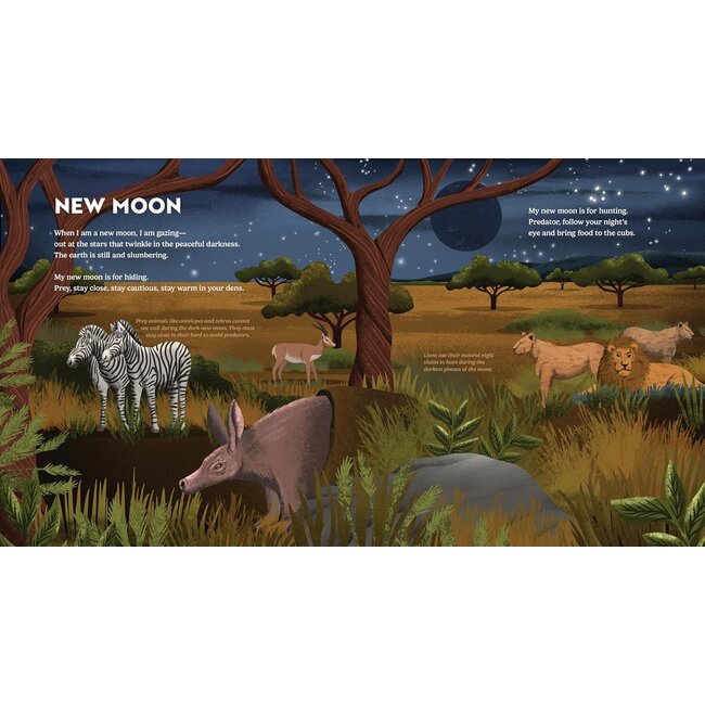 Wild Moon: How the Lunar Phases Light Up Our World