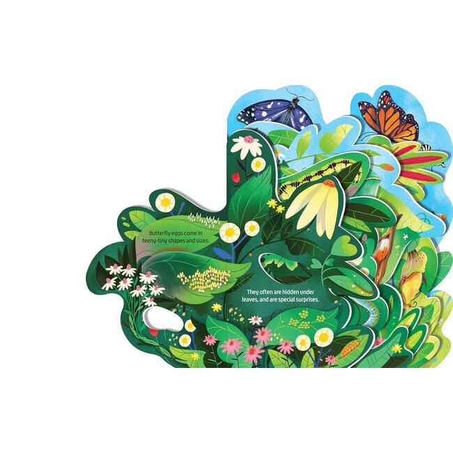 Beautiful Butterflies