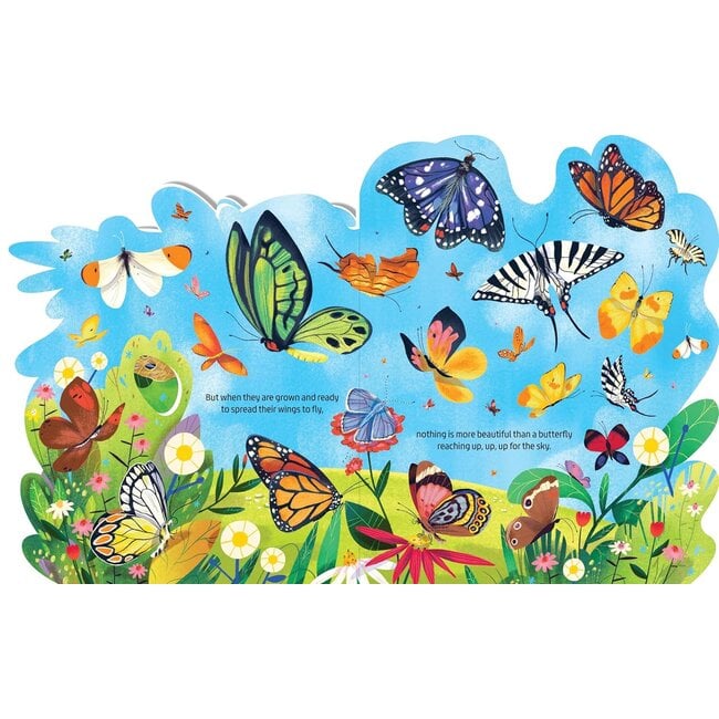 Beautiful Butterflies