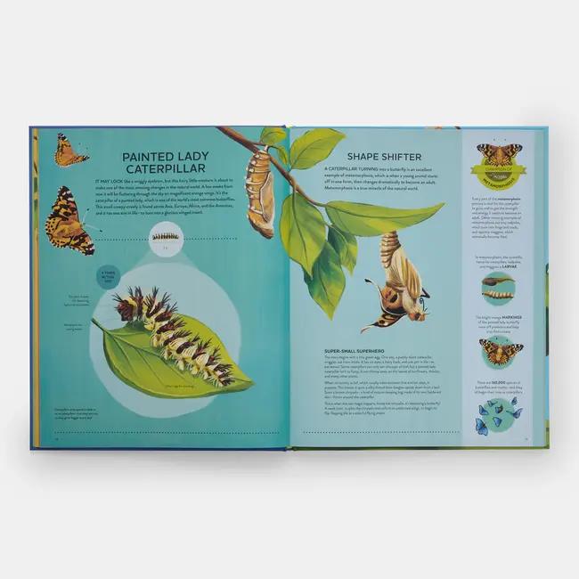 Nature's Tiny Champions