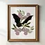 Tara Reed Vintage Bat Art Print 8x10