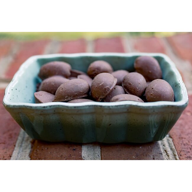 Zorro Pecans 8oz - Milk Chocolate