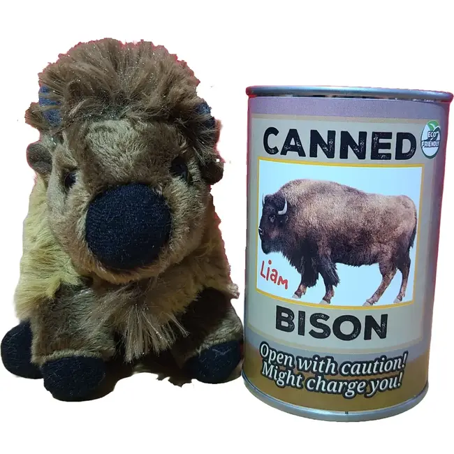 Liam the Canned Bison
