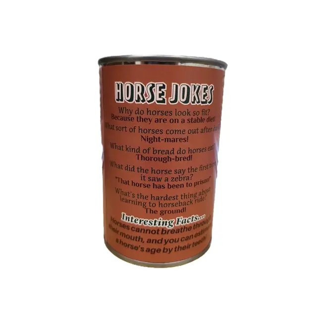 Spirit the Canned Horse