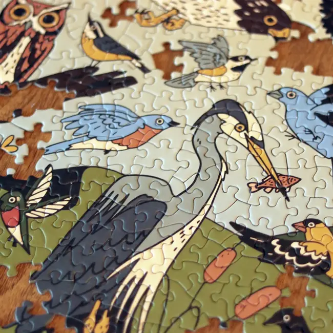 Birds of Eastern North America Puzzle 1000 Piece
