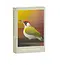 Mini Puzzle 99 Piece - Woodpecker