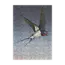 Mini Puzzle 99 Piece -  Swallow