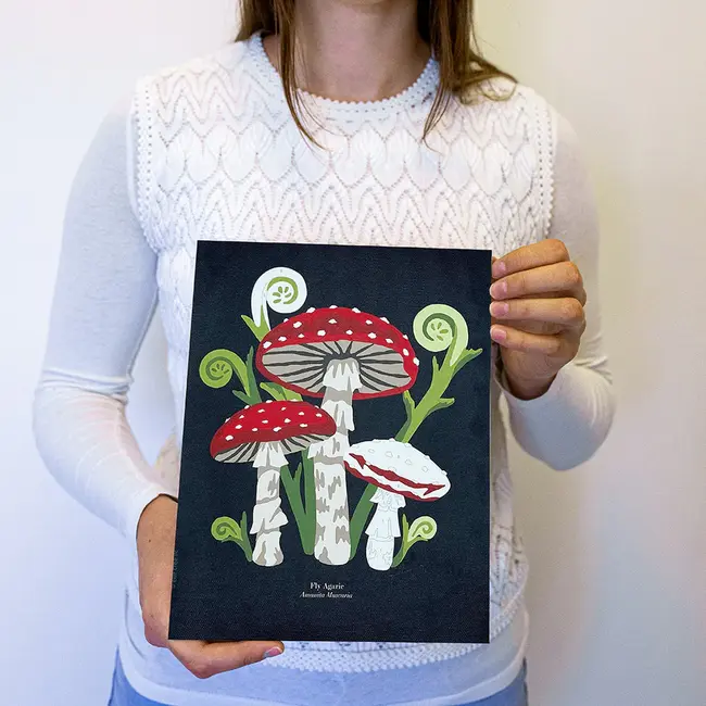 Paint by Numbers Kit - Fly Agaric Mushrooms