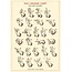 Cavallini Vintage Poster - Sign Language Chart
