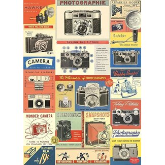 Vintage Poster - Vintage Cameras