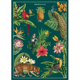 Cavallini Vintage Poster - Tropicale