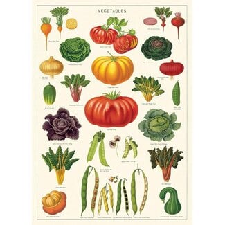 Cavallini Vintage Poster - Vegetable Garden