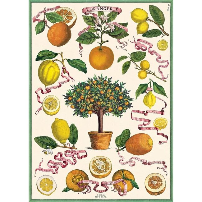 Cavallini Vintage Poster - L'Orangerie