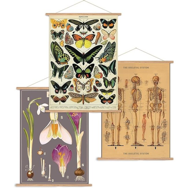 Cavallini Vertical Vintage Poster Kit