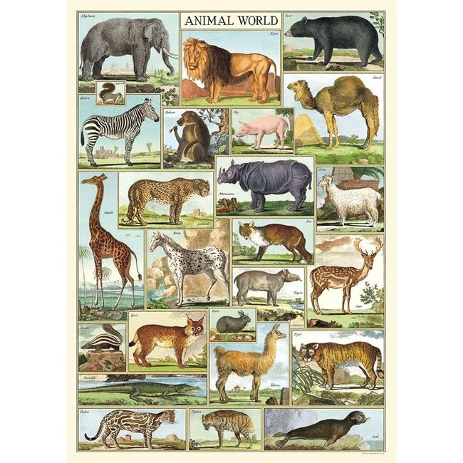 Cavallini Vintage Poster - Animal World