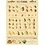 Cavallini Vintage Poster - Fly Fishing