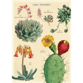 Cavallini Vintage Poster - Cacti & Succulents 2