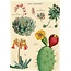 Cavallini Vintage Poster - Cacti & Succulents 2