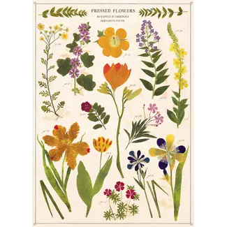 Cavallini Vintage Poster - Pressed Flowers