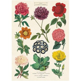 Cavallini Vintage Poster - Botanica 2