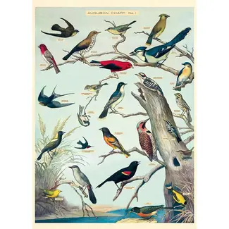 Cavallini Vintage Poster - Birds
