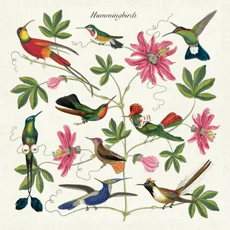 Cavallini Vintage Cloth Napkin Set (4) - Hummingbirds