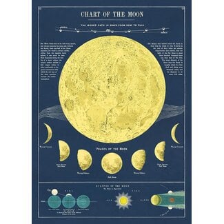 Cavallini Vintage Poster - Moon Chart