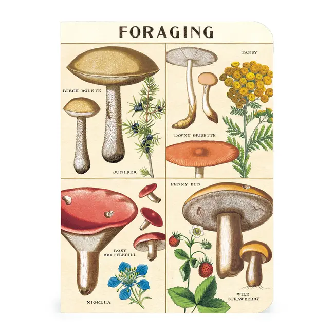 Mini Notebook Set/3 - Foraging