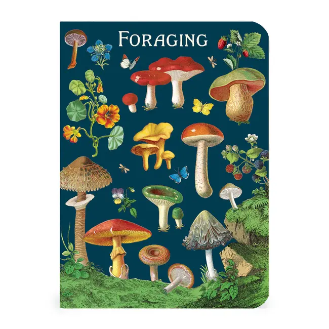 Mini Notebook Set/3 - Foraging