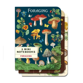 Mini Notebook Set/3 - Foraging
