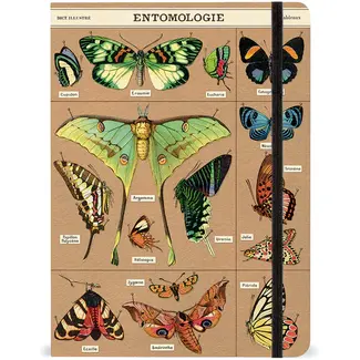 Entomology Notebook