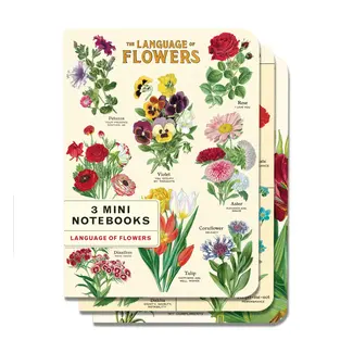 Mini Notebook Set/3 - Language of Flowers