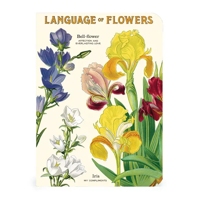 Mini Notebook Set/3 - Language of Flowers