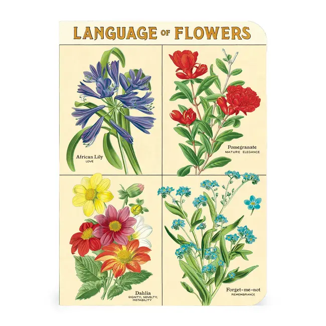 Mini Notebook Set/3 - Language of Flowers