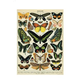 Cavallini Vintage Poster - Butterflies 2
