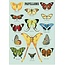 Vintage Poster Papillons