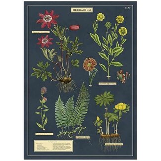 Vintage Poster Herbarium