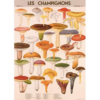 Vintage Poster Mushrooms