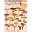 Vintage Poster Mushrooms