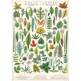 Cavallini Vintage Poster - Folia Leaves