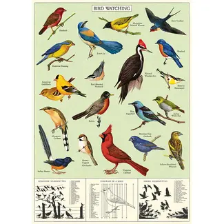 Cavallini Vintage Poster - Study of Birds