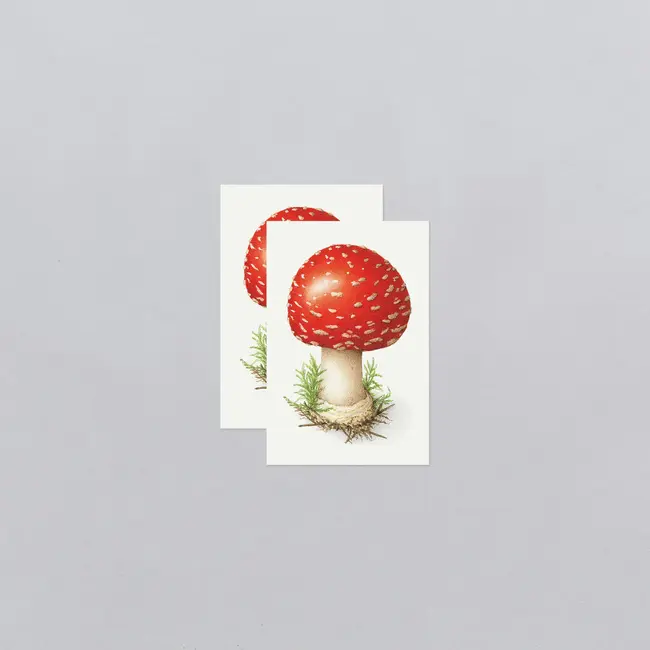 Tattly Temporary Tattoo Pair - Toadstool