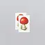 Tattly Temporary Tattoo Pair - Toadstool